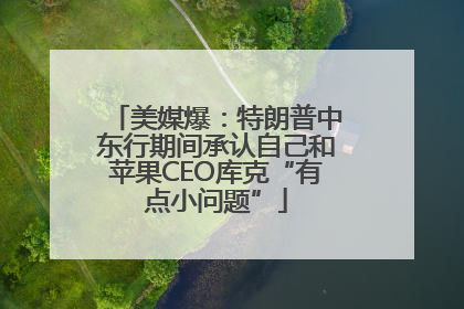 美媒爆：特朗普中东行期间承认自己和苹果CEO库克“有点小问题”
