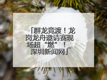 群龙竞渡！龙岗龙舟邀请赛现场超“燃”！_深圳新闻网
