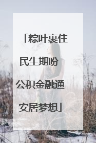 粽叶裹住民生期盼 公积金融通安居梦想