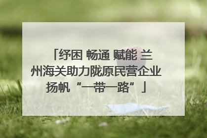 纾困 畅通 赋能 兰州海关助力陇原民营企业扬帆“一带一路”