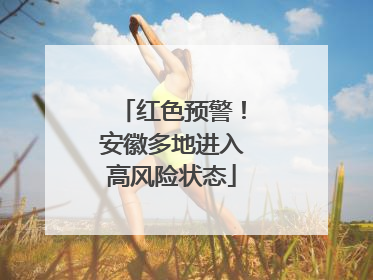 红色预警！安徽多地进入高风险状态