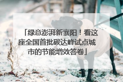 绿意澎湃新襄阳！看这座全国首批碳达峰试点城市的节能增效答卷
