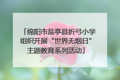 绵阳市盐亭县折弓小学组织开展“世界无烟日”主题教育系列活动