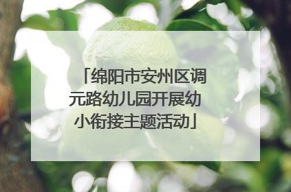 绵阳市安州区调元路幼儿园开展幼小衔接主题活动