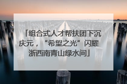 组合式人才帮扶团下沉庆元，“希望之光”闪耀浙西南青山绿水间