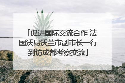 促进国际交流合作 法国沃昂沃兰市副市长一行到访成都考察交流
