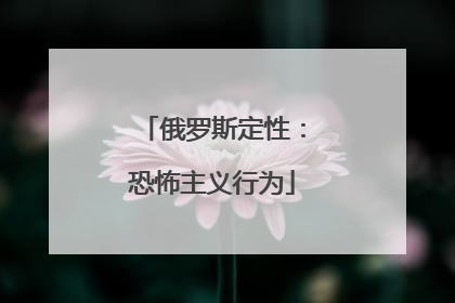 俄罗斯定性：恐怖主义行为
