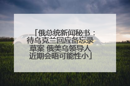俄总统新闻秘书：待乌克兰回应备忘录草案 俄美乌领导人近期会晤可能性小