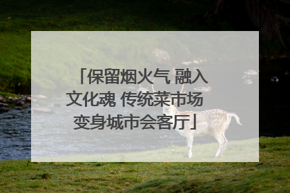 保留烟火气 融入文化魂 传统菜市场变身城市会客厅