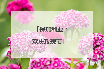 保加利亚：欢庆玫瑰节