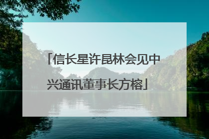 信长星许昆林会见中兴通讯董事长方榕