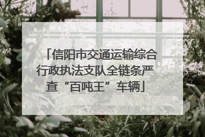信阳市交通运输综合行政执法支队全链条严查“百吨王”车辆