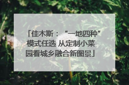 佳木斯：“一地四种” 模式任选 从定制小菜园看城乡融合新图景
