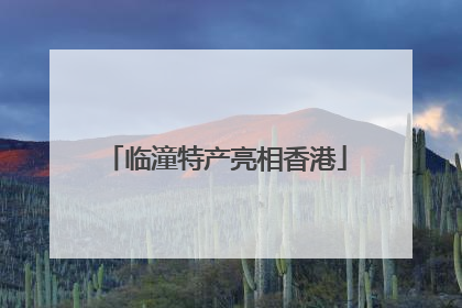 临潼特产亮相香港