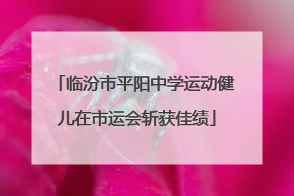 临汾市平阳中学运动健儿在市运会斩获佳绩