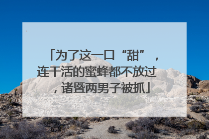 为了这一口“甜”，连干活的蜜蜂都不放过，诸暨两男子被抓