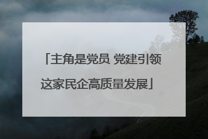 主角是党员 党建引领这家民企高质量发展