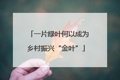 一片绿叶何以成为乡村振兴“金叶”