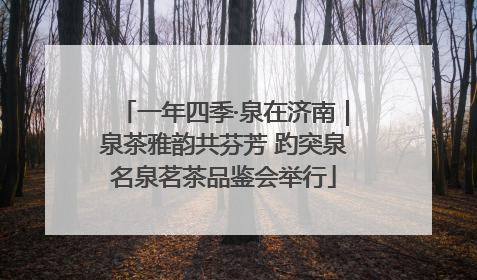 一年四季·泉在济南｜泉茶雅韵共芬芳 趵突泉名泉茗茶品鉴会举行