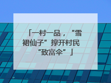 一村一品，“雪裙仙子”撑开村民“致富伞”