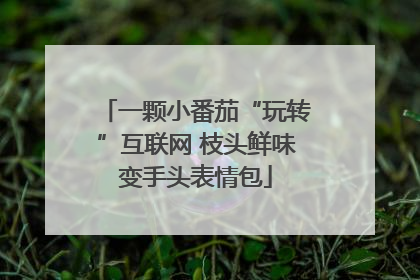 一颗小番茄“玩转”互联网 枝头鲜味变手头表情包