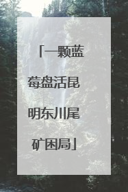 一颗蓝莓盘活昆明东川尾矿困局