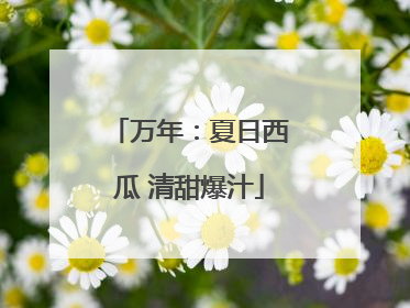 万年：夏日西瓜 清甜爆汁