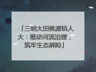 三明大田桃源镇人大：推动河流治理，筑牢生态屏障