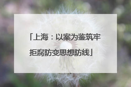 上海：以案为鉴筑牢拒腐防变思想防线