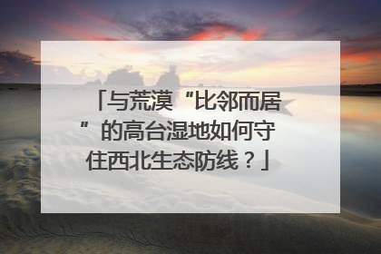 与荒漠“比邻而居”的高台湿地如何守住西北生态防线？