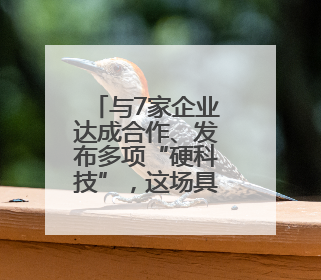 与7家企业达成合作、发布多项“硬科技”，这场具身智能机器人大会蓉城启幕