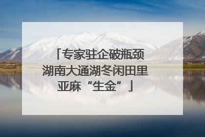 专家驻企破瓶颈 湖南大通湖冬闲田里亚麻“生金”