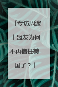 专访周波丨盟友为何不再信任美国了？