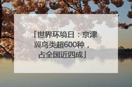世界环境日：京津冀鸟类超600种，占全国近四成