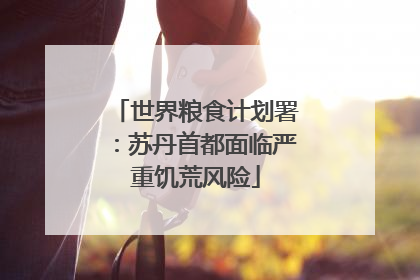 世界粮食计划署：苏丹首都面临严重饥荒风险