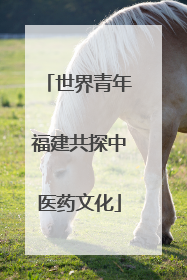 世界青年福建共探中医药文化