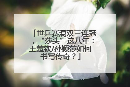 世乒赛混双三连冠，“莎头”这八年：王楚钦/孙颖莎如何书写传奇？