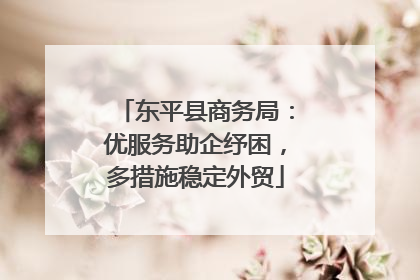 东平县商务局：优服务助企纾困，多措施稳定外贸