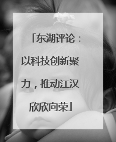 东湖评论：以科技创新聚力，推动江汉欣欣向荣