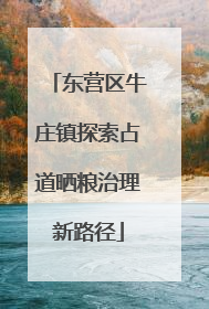 东营区牛庄镇探索占道晒粮治理新路径