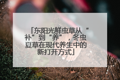 东阳光鲜虫草从“补”到“养”，冬虫夏草在现代养生中的新打开方式