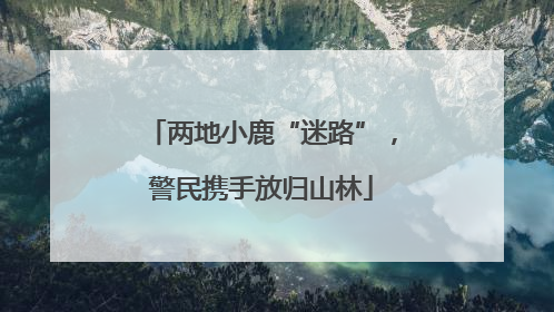 两地小鹿“迷路”，警民携手放归山林