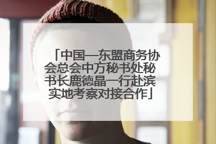 中国—东盟商务协会总会中方秘书处秘书长鹿德晶一行赴滨实地考察对接合作
