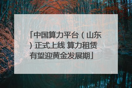 中国算力平台（山东）正式上线 算力租赁有望迎黄金发展期
