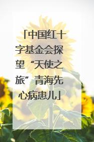 中国红十字基金会探望“天使之旅”青海先心病患儿