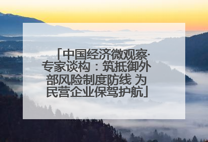 中国经济微观察·专家谈构：筑抵御外部风险制度防线 为民营企业保驾护航