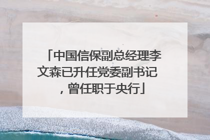 中国信保副总经理李文森已升任党委副书记，曾任职于央行