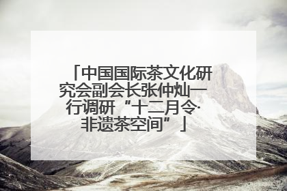 中国国际茶文化研究会副会长张仲灿一行调研“十二月令·非遗茶空间”