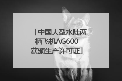 中国大型水陆两栖飞机AG600获颁生产许可证