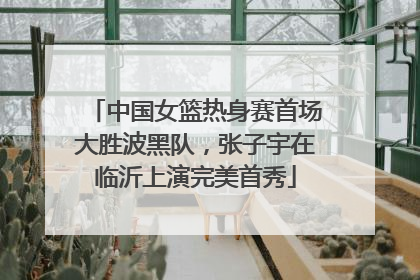 中国女篮热身赛首场大胜波黑队，张子宇在临沂上演完美首秀